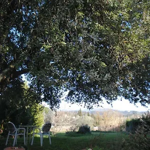 Fattoria Di Malavolta Florenz